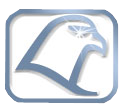 falcon-metal-logo