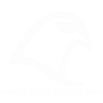 falcon metal logo white